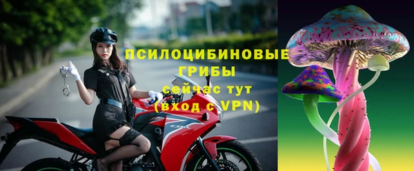 стаф Алексеевка